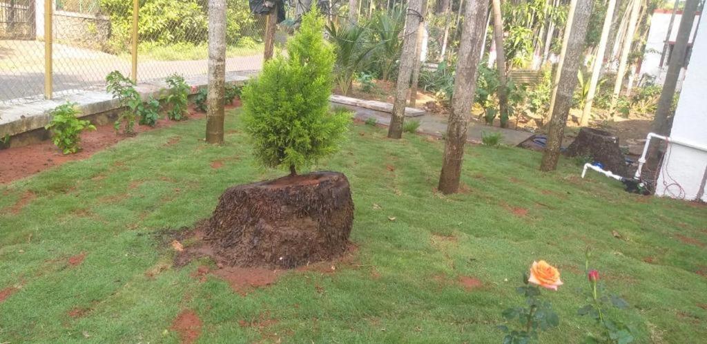 Villa Atharva Thāl エクステリア 写真